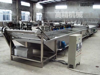 清洗消毒風(fēng)干流水線