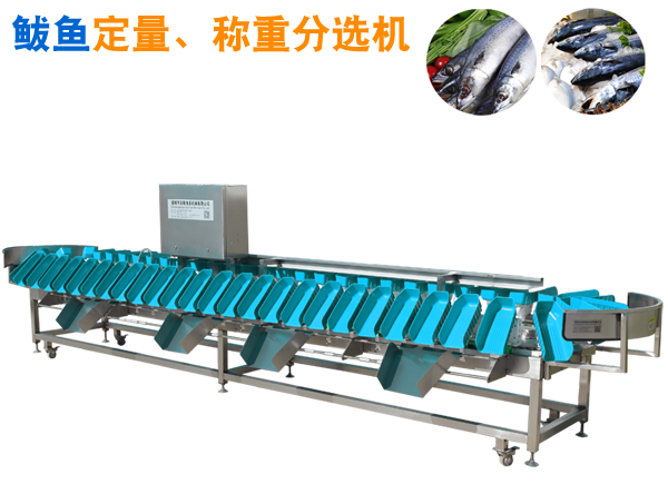 鲅魚挑檔機,鲅魚分選機,鲅魚挑擋機
