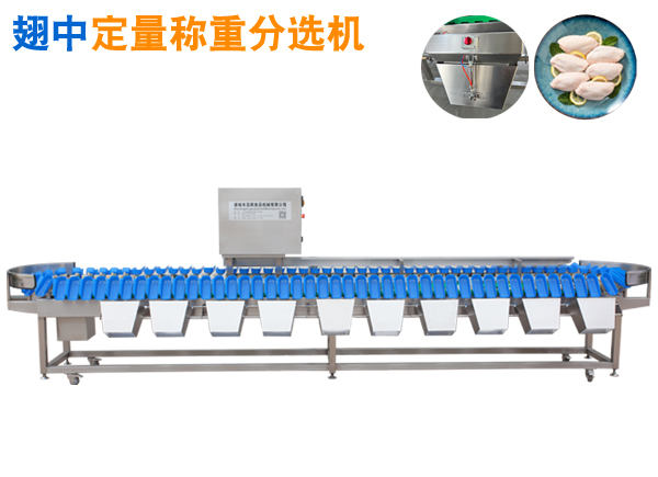 翅中定量稱重分選機(jī) 托盤式分選機(jī)