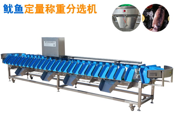 托盤式稱重分選機(jī) 魷魚料盤式分揀機(jī)