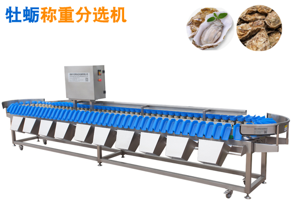 海蠣子稱重分選機 重量分揀機