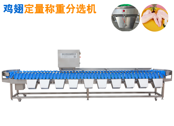托盤式分選機(jī) 雞翅定量稱重分選機(jī)