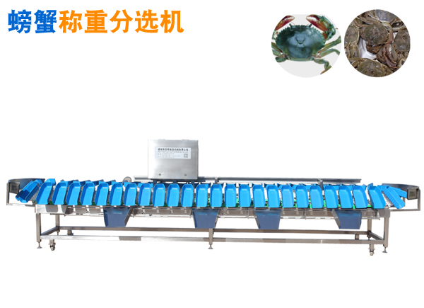 活螃蟹定量稱重分選機(jī) 托盤式重量分選機(jī)