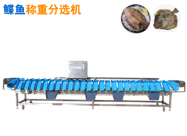重量分選機 碟魚稱重分選機