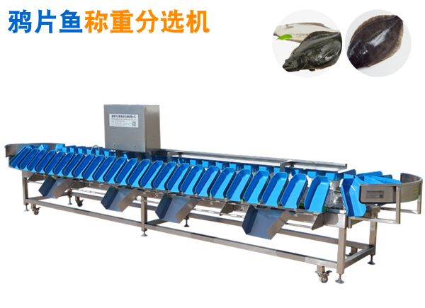 重量分選機 鴉片魚稱重分選機