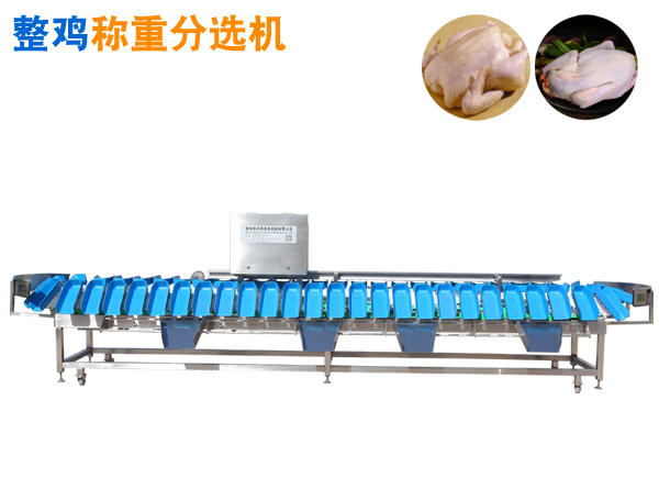 重量分選機 整雞稱重分選機