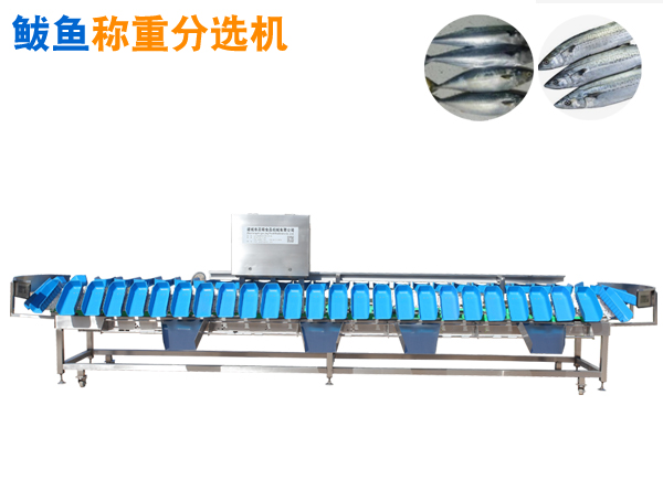 重量分選機 鲅魚稱重分選機