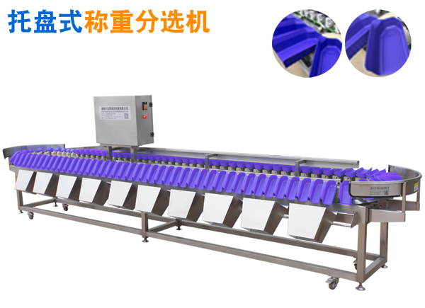 重量分選機 托盤式稱重分揀機