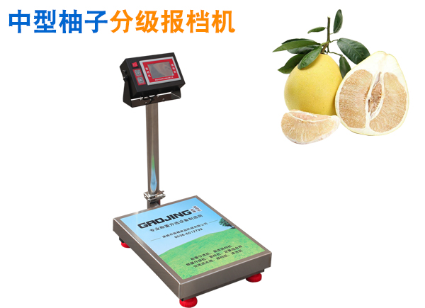 柚子分級(jí)報(bào)檔機(jī) 水果分級(jí)機(jī) 中大型水果分選機(jī) 中大型水果經(jīng)濟(jì)型分揀設(shè)備